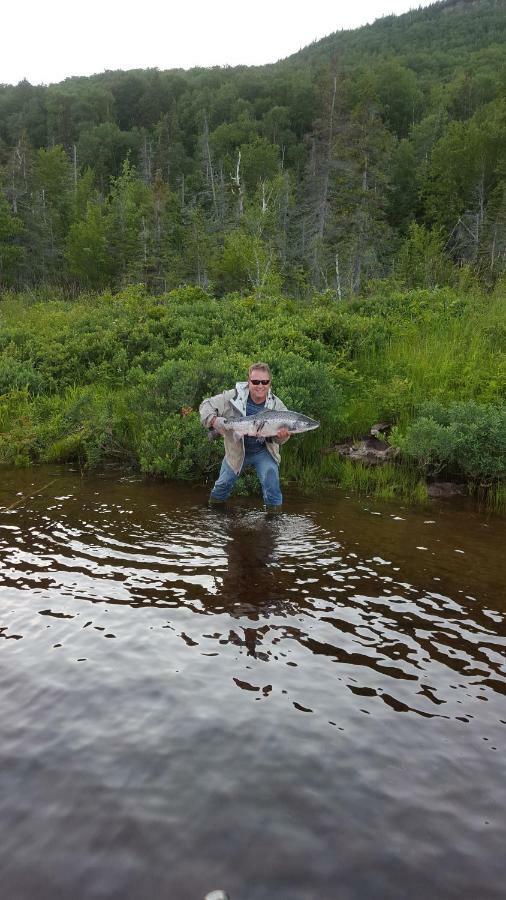 Marble Inn Resort Steady Brook Exteriör bild
